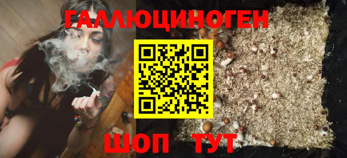 Грязи  Псилоцибиновые грибы Psilocybe  Вход с VPN 